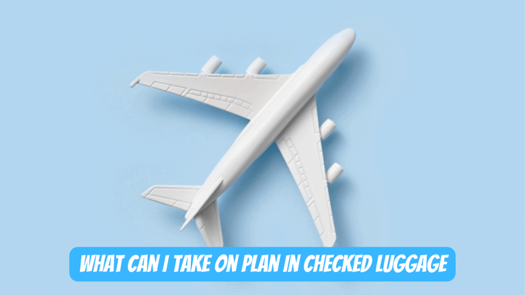 What can I take on a plane in checked luggage? Guide 2023