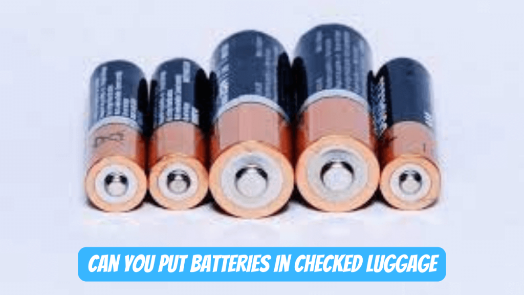 Can You Put Aa Batteries In Checked Luggage