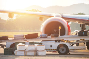 Prevent Lost Luggage